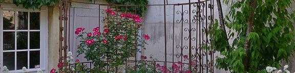 Inspirations de jardin