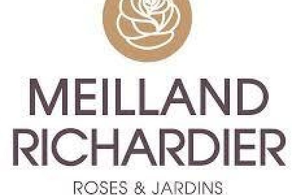 Rosiers Meilland Richardier&nbsp;: l’histoire d’un savoir-faire d’exception