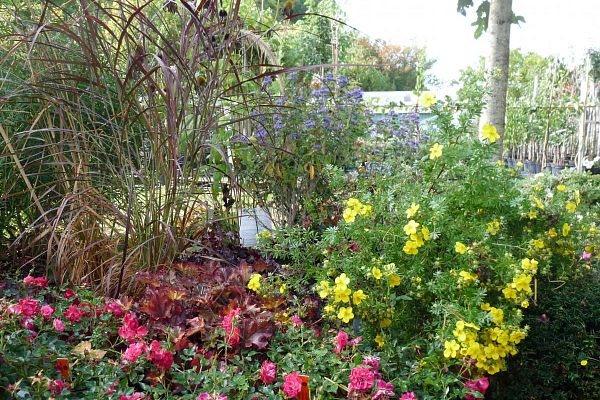 Portes ouvertes : Tout est beau, tout est fleuri !